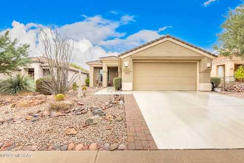Holly Grape, MARANA, AZ 85658