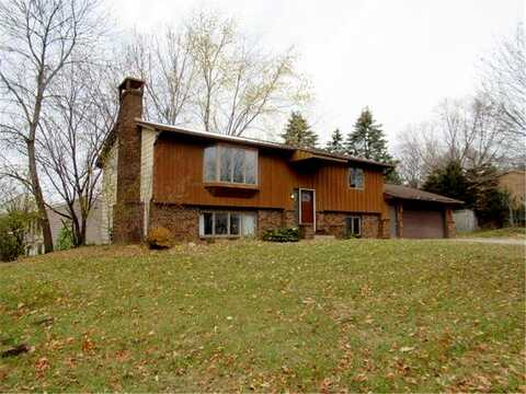Hyde, COTTAGE GROVE, MN 55016