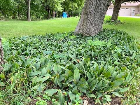 748Th, SOUTH HAVEN, MN 55382