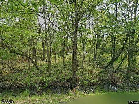 White Birch, LONG POND, PA 18334