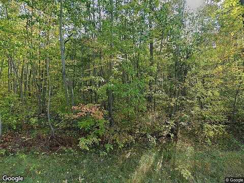 Ponderosa, WALKER, MN 56484
