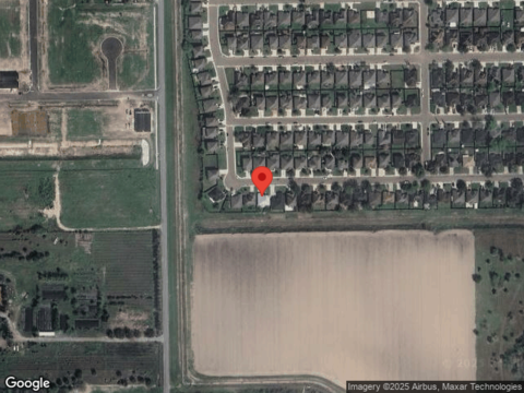 Bald Cypress, WESLACO, TX 78596