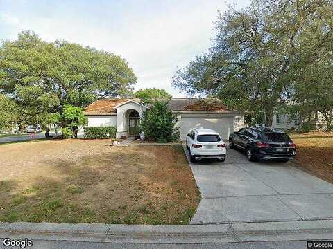 Turkey Pine, LECANTO, FL 34461