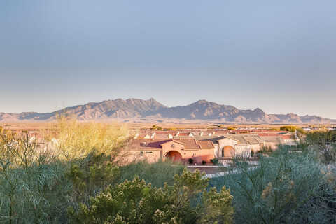 Cliff, GREEN VALLEY, AZ 85614