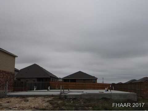 Daffodil, TEMPLE, TX 76502