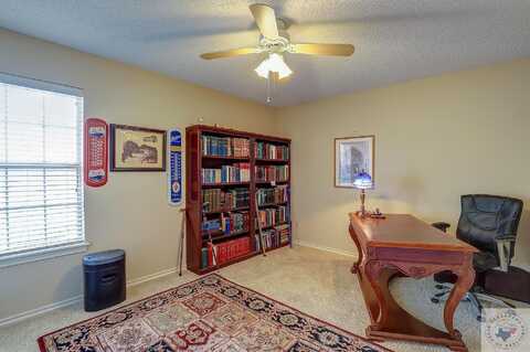 Mitchell Ryan, WAKE VILLAGE, TX 75501