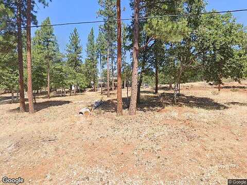 Iris, MCARTHUR, CA 96056