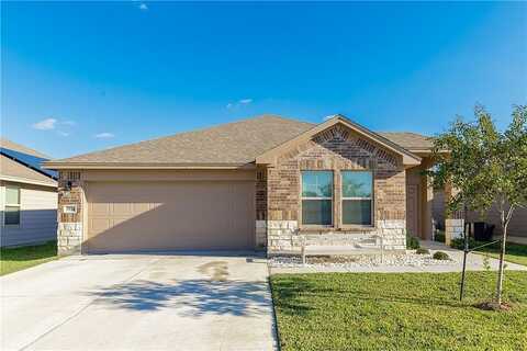 Banily, CORPUS CHRISTI, TX 78410