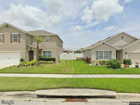 Grey Heron, WINTER HAVEN, FL 33881
