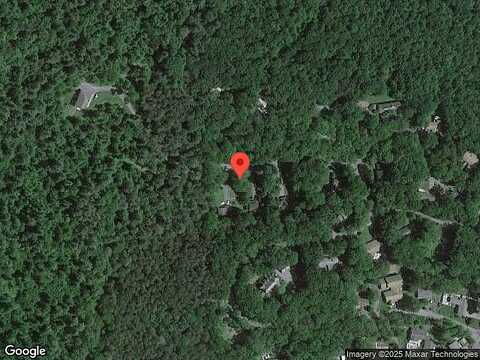 Spruce, LOCK HAVEN, PA 17745