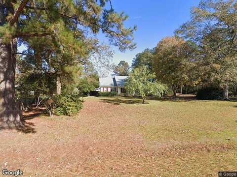 Pine Needly, RICHMOND HILL, GA 31324