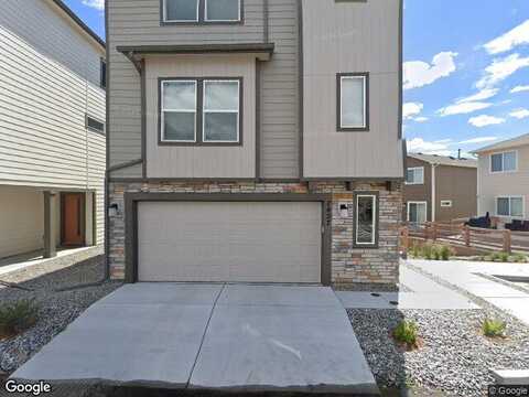 Gorgeted Quail, COLORADO SPRINGS, CO 80923
