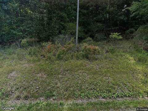 Suiter, BASTIAN, VA 24314