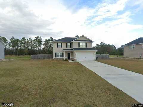 Setter, LUDOWICI, GA 31316