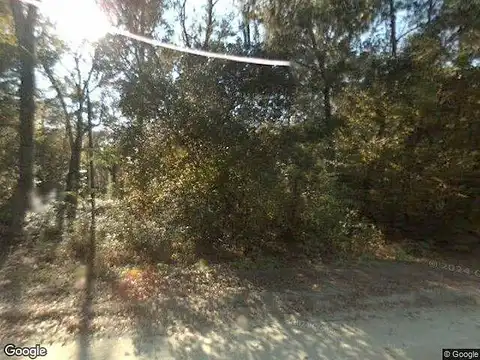Bluff, FORT WHITE, FL 32038