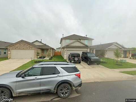 Aster, BASTROP, TX 78602