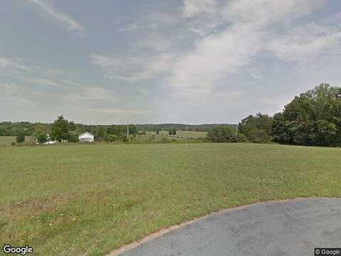 Wading Crane, WIRTZ, VA 24184
