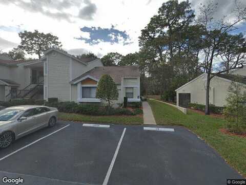 Nakoma, WEEKI WACHEE, FL 34613