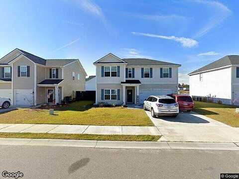 Daylily, HINESVILLE, GA 31313