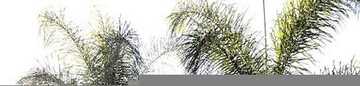 Kingsley, LOS ANGELES, CA 90029