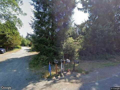 Birch, OCEAN PARK, WA 98640