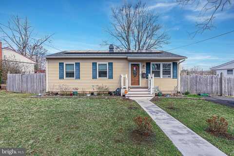 Eagle, WINCHESTER, VA 22601