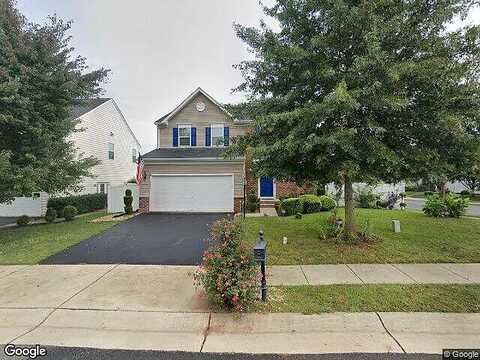Salt Cedar, CULPEPER, VA 22701