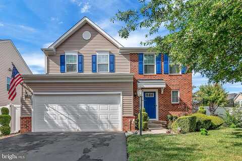 Salt Cedar, CULPEPER, VA 22701
