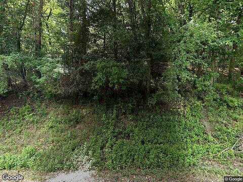 Buckthorn, ROCHESTER, MN 55901