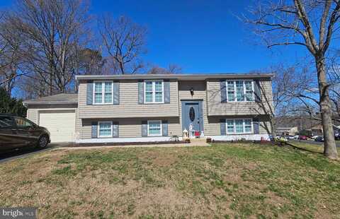 Great Lake, SPRINGFIELD, VA 22153
