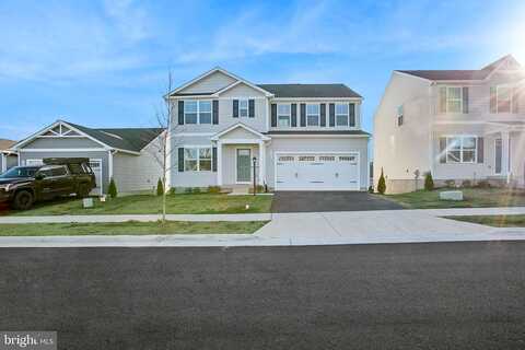 Walsh, WAYNESBORO, VA 22980