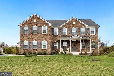 Thoroughbred, WARRENTON, VA 20187