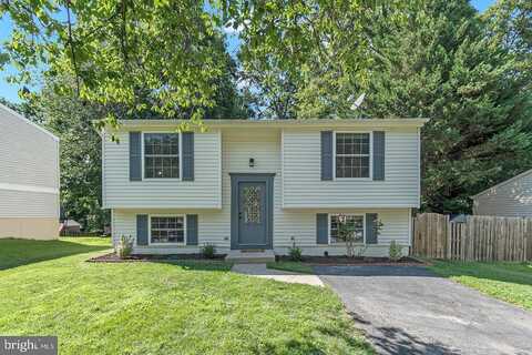 Great Lake, SPRINGFIELD, VA 22153