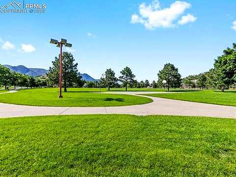 Tamworth, COLORADO SPRINGS, CO 80919