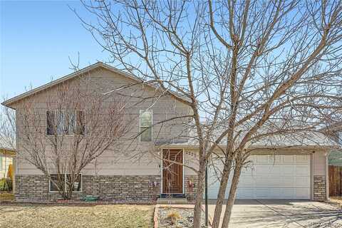 Ash, GREELEY, CO 80631
