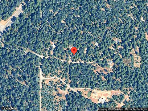 Pine Needle, NEVADA CITY, CA 95959