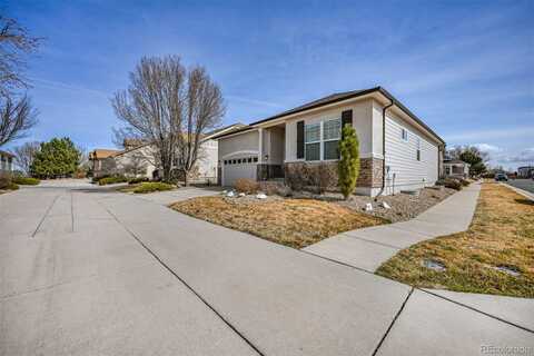 Red Poppy, BRIGHTON, CO 80601