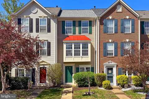 Selkirk, BRISTOW, VA 20136