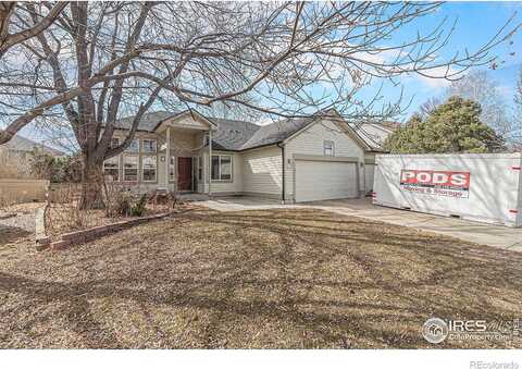 Chestnut, LONGMONT, CO 80503