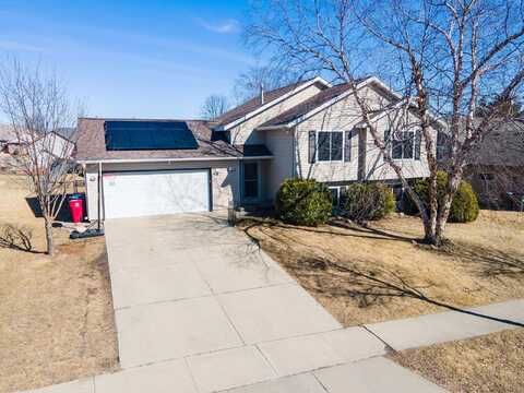 Shetland, ROCHESTER, MN 55901
