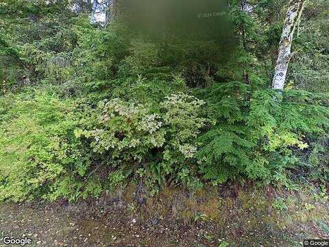 Sorrel, NESKOWIN, OR 97149
