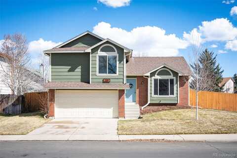 Holcomb, CASTLE ROCK, CO 80104