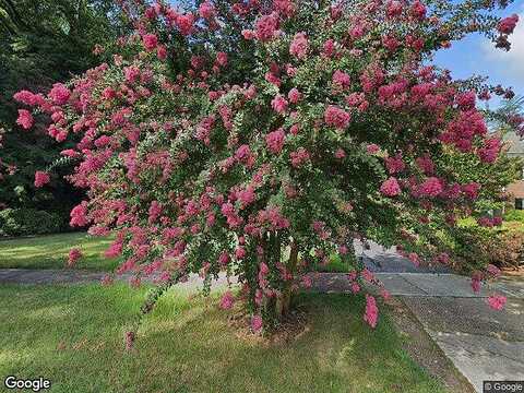 Sycamore, PETERSBURG, VA 23805
