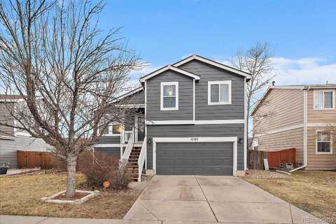 Steele, NORTHGLENN, CO 80233