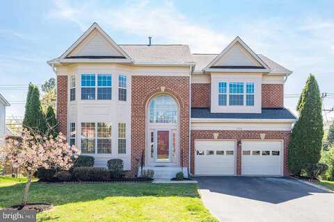 Chambray, FALLS CHURCH, VA 22042