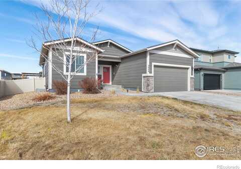 Hackberry, WELLINGTON, CO 80549