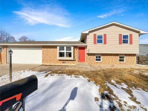 White Elm, LOVELAND, CO 80538