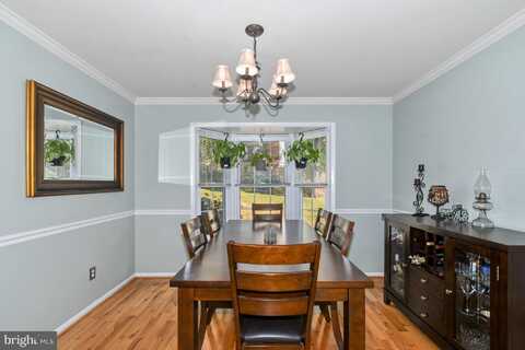 Polins, ALEXANDRIA, VA 22306
