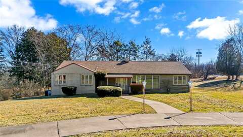 Silver, CORAOPOLIS, PA 15108