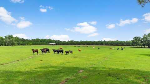 Kinsey, MONTICELLO, FL 32344